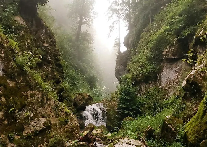 Grazer Nest - Cozy In 公寓